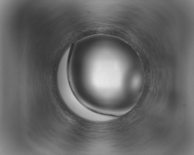 X0000070380750200606091125