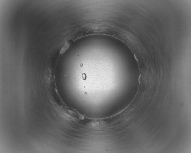 X0000070380752200606091125