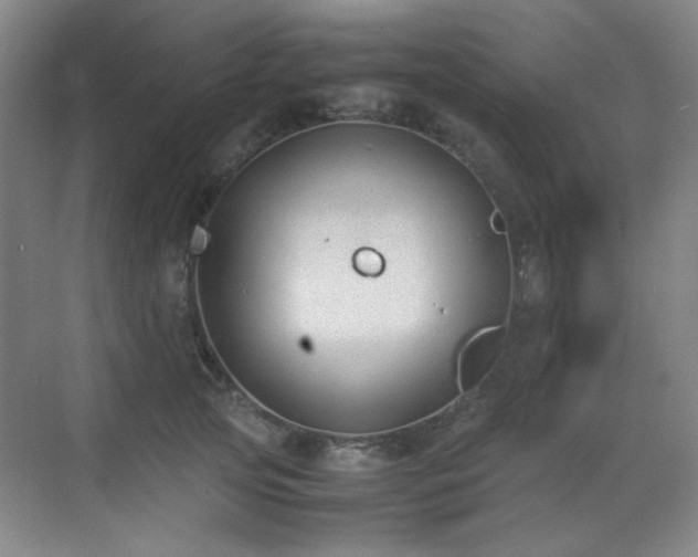 X0000070380753200606091125