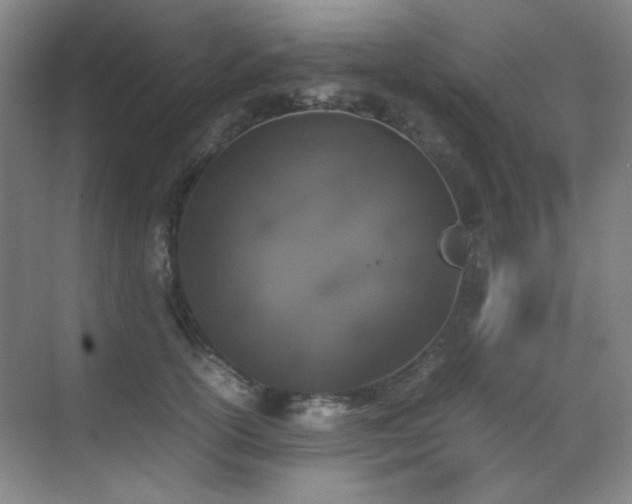 X0000070380754200606091125