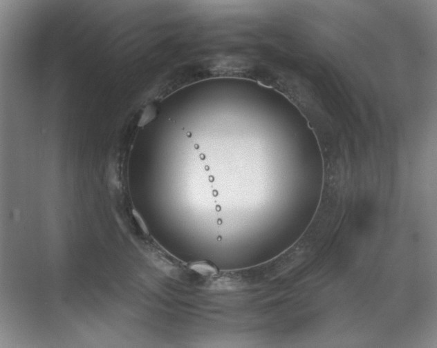 X0000070380755200606091125