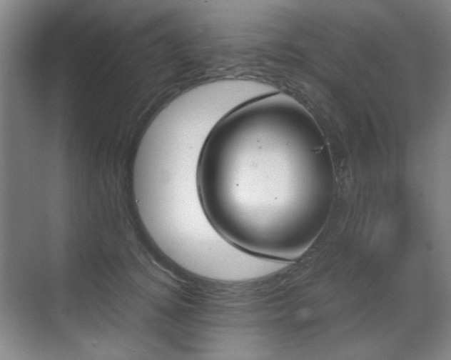 X0000070380756200606091125