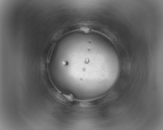 X0000070380758200606091125