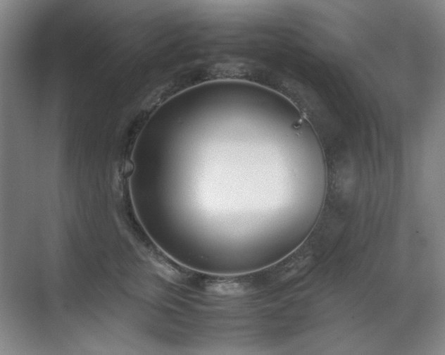 X0000070380759200606091125