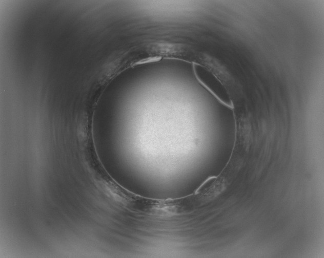 X0000070380760200606091125