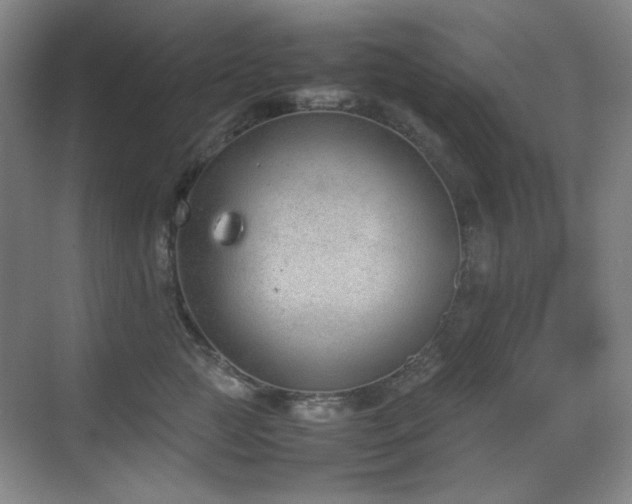 X0000070380761200606091125