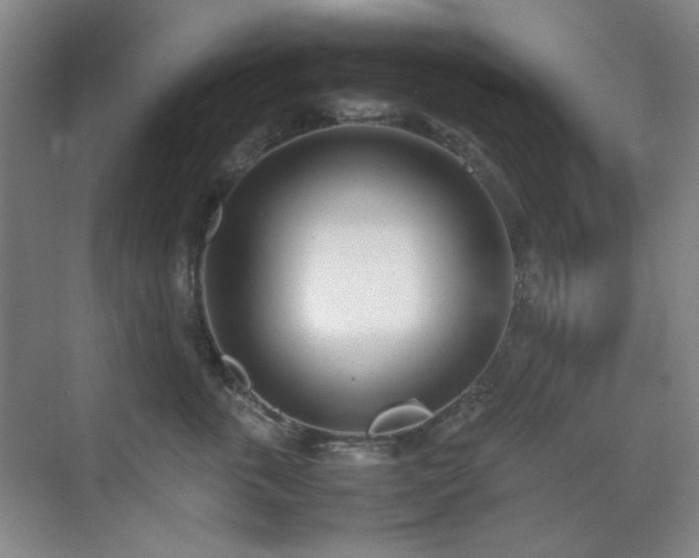 X0000070380763200606091125