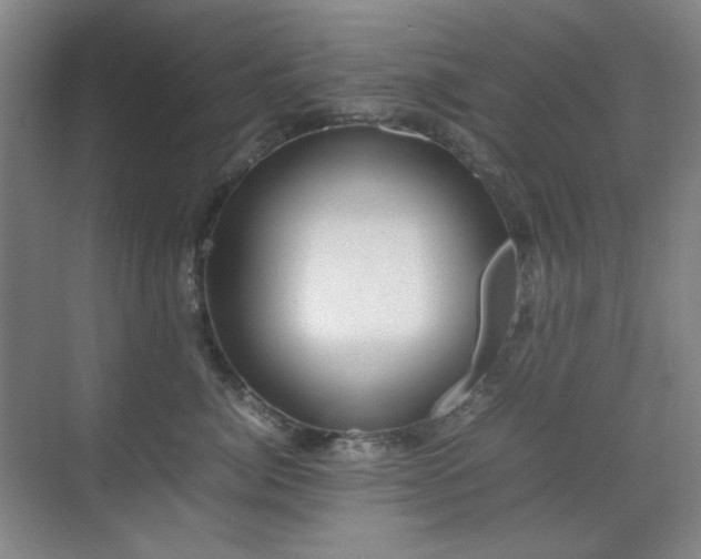 X0000070380764200606091125