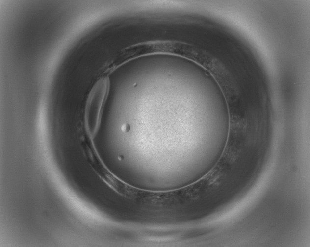 X0000070380765200606091125