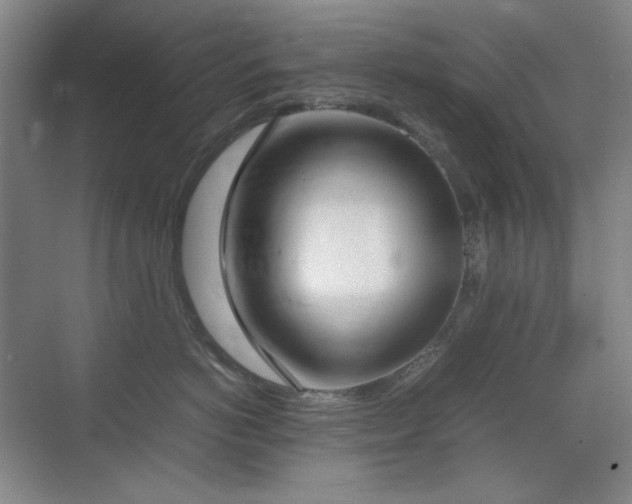 X0000070380766200606091125