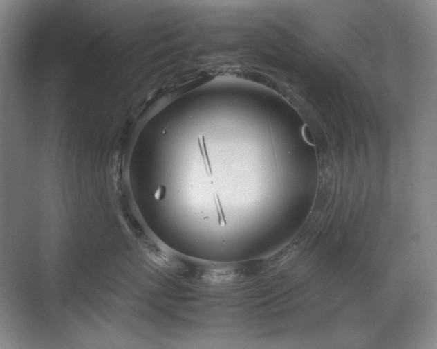 X0000070380767200606091125