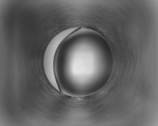 X0000070380768200606091125