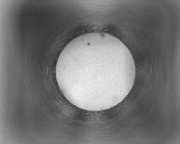 X0000070380769200606091124