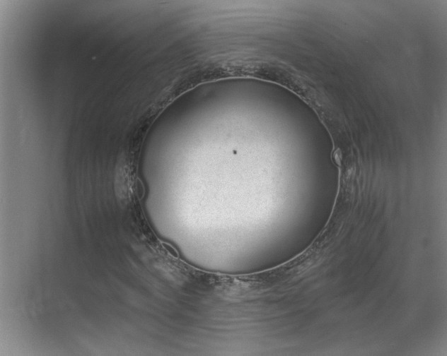 X0000070380772200606091124