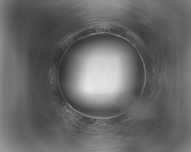 X0000070380773200606091124