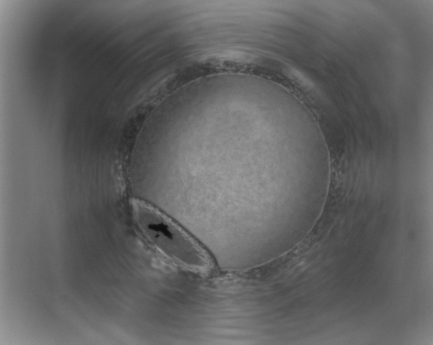 X0000070380774200606091124