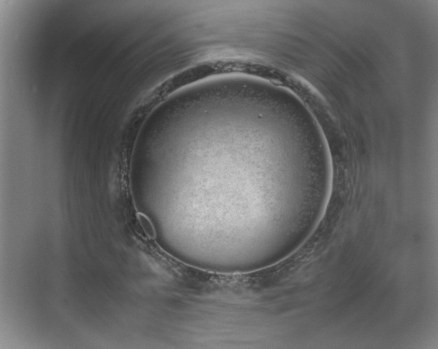 X0000070380775200606091124