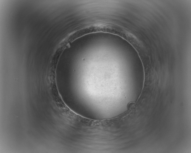 X0000070380776200606091124