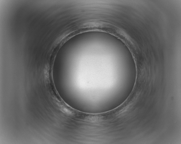 X0000070380778200606091124