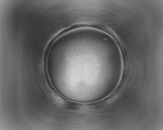 X0000070380779200606091124