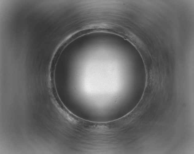 X0000070380784200606091124