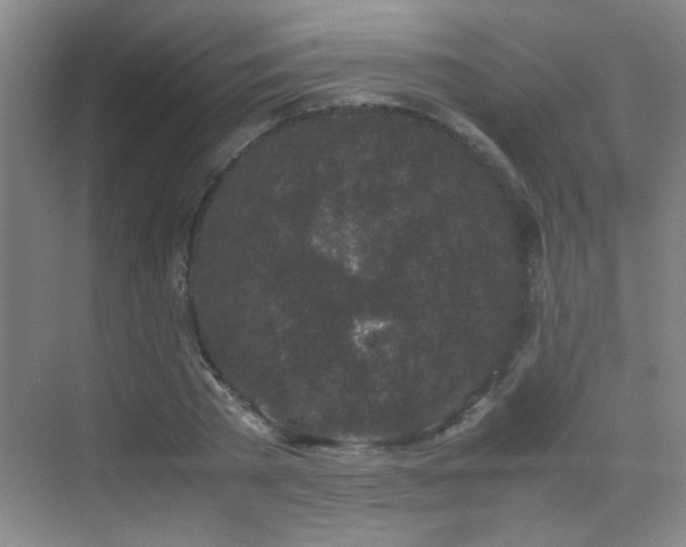 X0000070380785200606091124