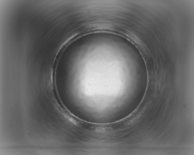 X0000070380790200606091124