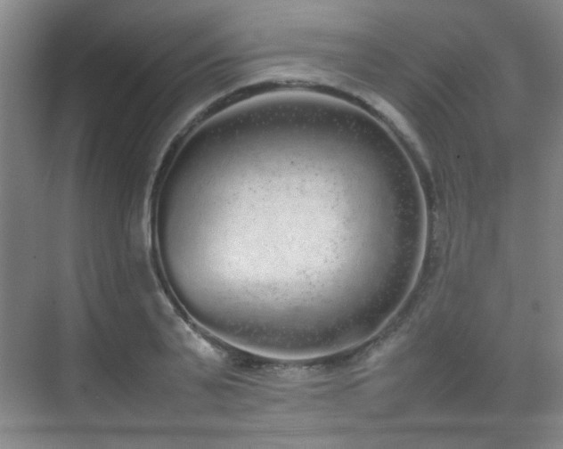 X0000070380791200606091124