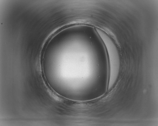 X0000070380792200606091124