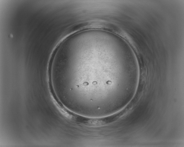 X0000070380795200606091124