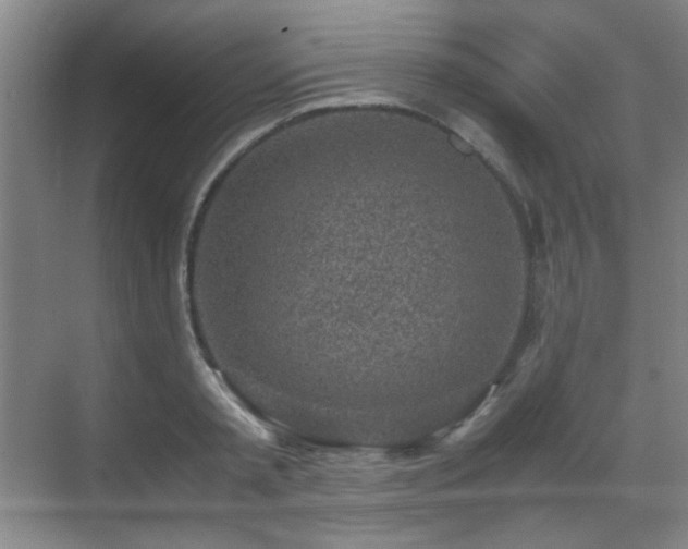 X0000070380797200606091124