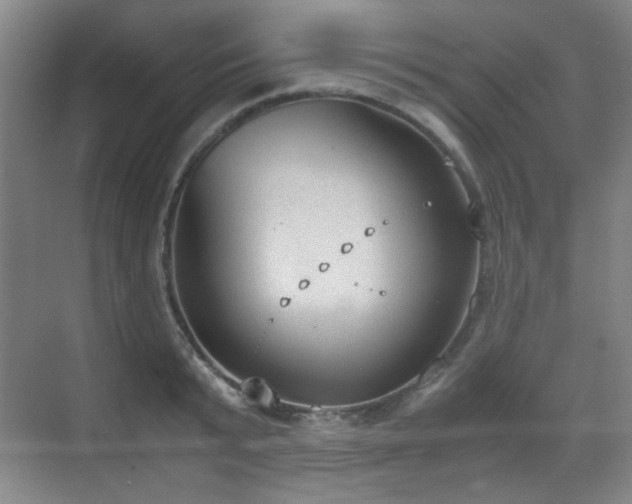 X0000070380799200606091124