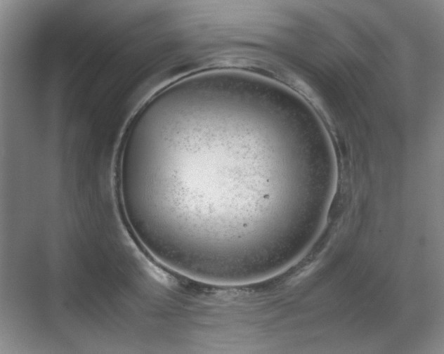 X0000070380803200606091124