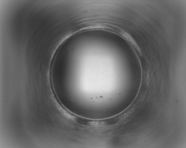 X0000070380805200606091124