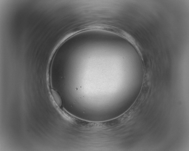 X0000070380811200606091124