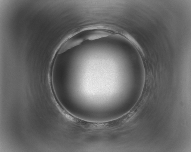 X0000070380813200606091124