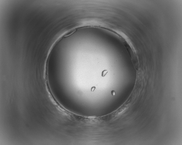 X0000070380815200606091124