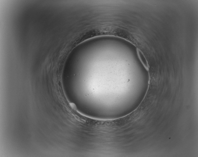 X0000070380817200606091123