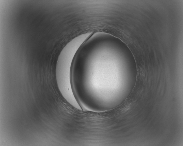 X0000070380818200606091123