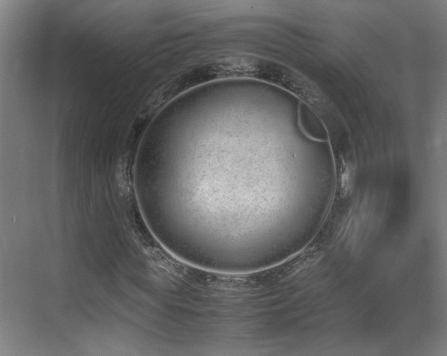 X0000070380819200606091123