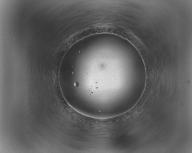 X0000070380821200606091123