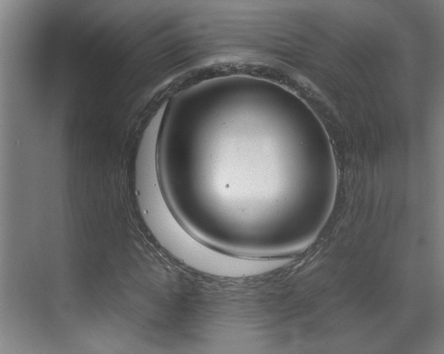 X0000070380822200606091123