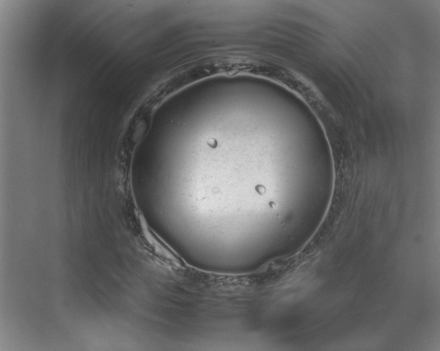 X0000070380823200606091123