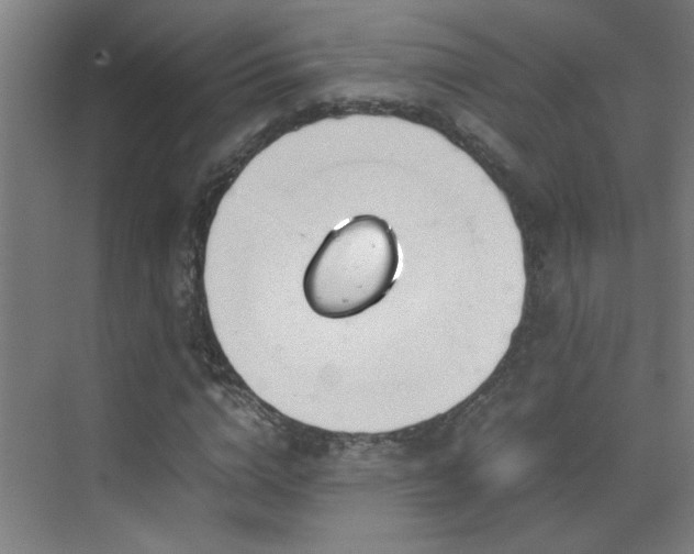 X0000070380824200606091123