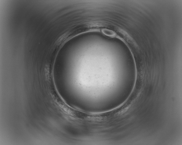 X0000070380825200606091123