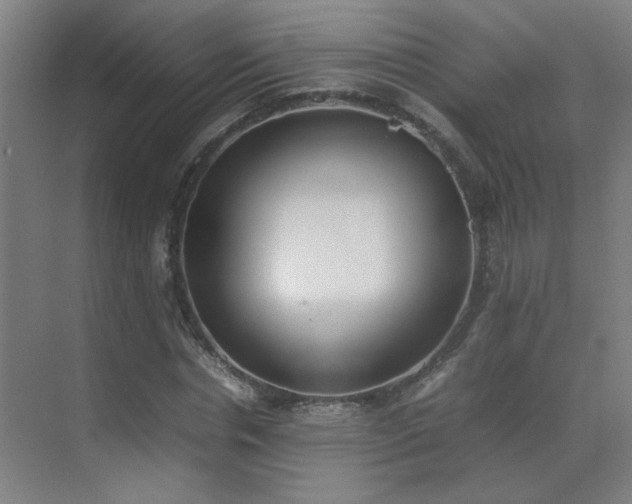 X0000070380826200606091123