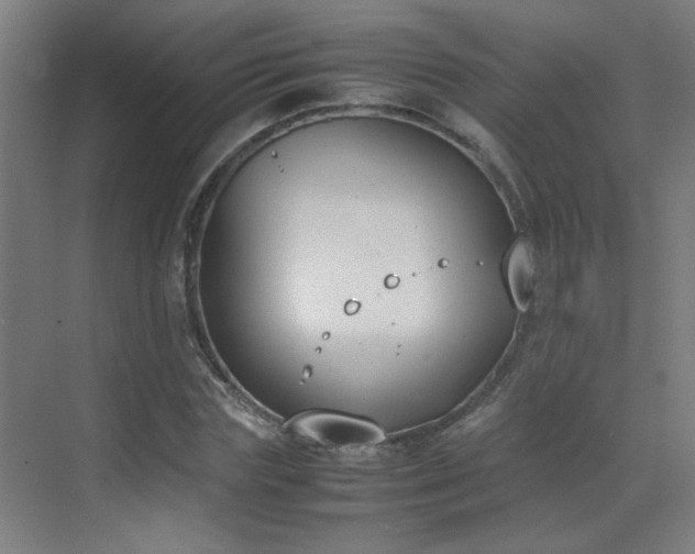 X0000070380827200606091123