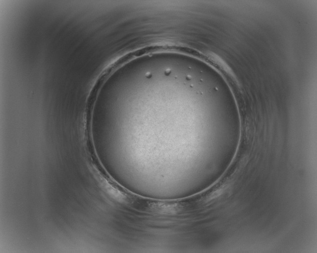 X0000070380831200606091123