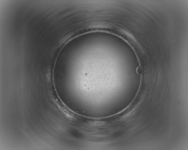 X0000070380833200606091123