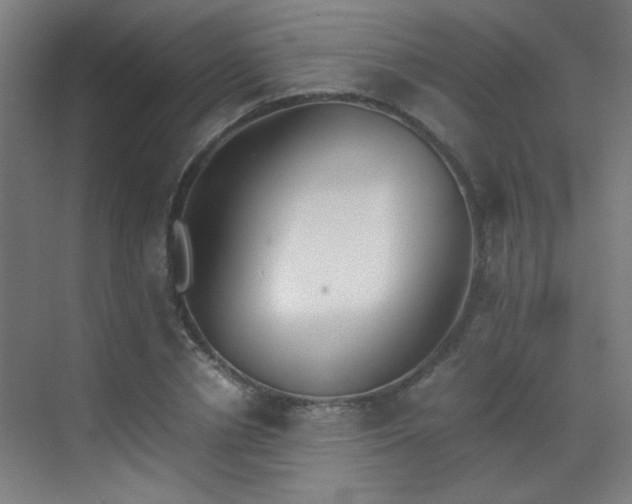 X0000070380834200606091123